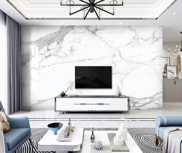 3D Light Gray Mesh Spread 1417 Wall Murals