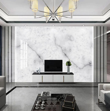 3D Smudged Light Ink 1514 Wall Murals