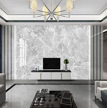 3D Light Gray Mysterious Texture 1505 Wall Murals