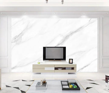 3D Light Gray Lines Gradually Appear 1500 Wall Murals