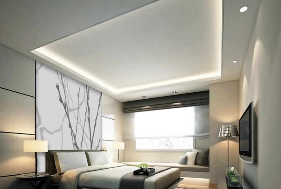 3D Dead Branch Shadow 1127 Wall Murals