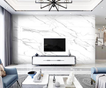 3D Horizontal Gray Lines 1303 Wall Murals