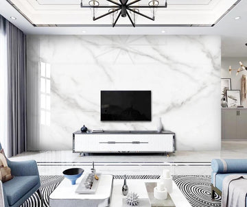 3D Hazy Gray Mesh Texture 1298 Wall Murals