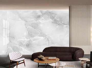 3D Black And White Foggy 1399 Wall Murals
