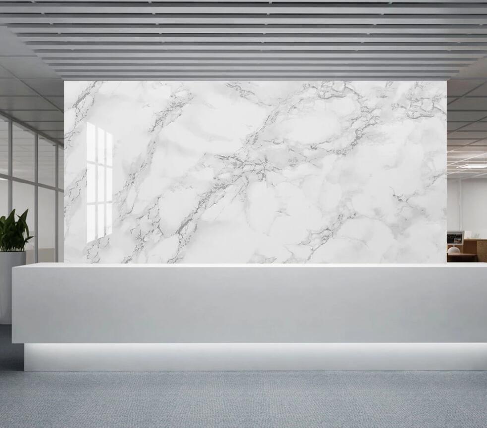 3D Light White And Light Gray 1368 Wall Murals