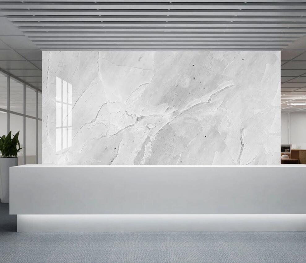 3D White Premium Light Perception 1297 Wall Murals