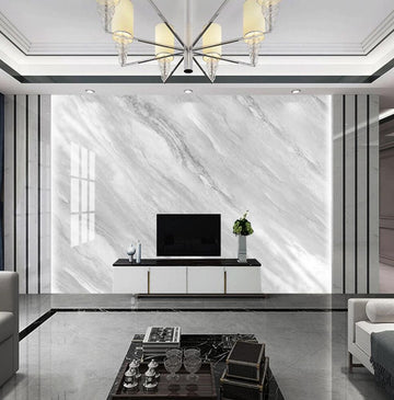 3D Gray Light Twill 1346 Wall Murals