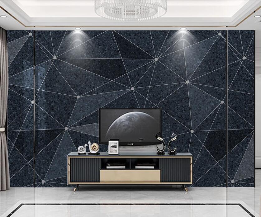 3D Black Dot Connection 1905 Wall Murals