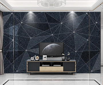 3D Black Dot Connection 1905 Wall Murals