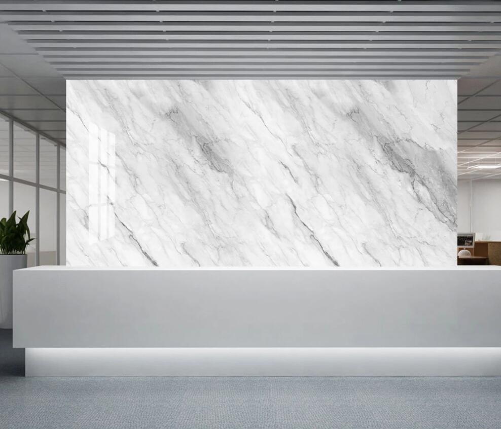 3D Light Gray Distribution Texture 1269 Wall Murals