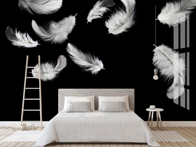 3D White Feather 398 Wall Murals