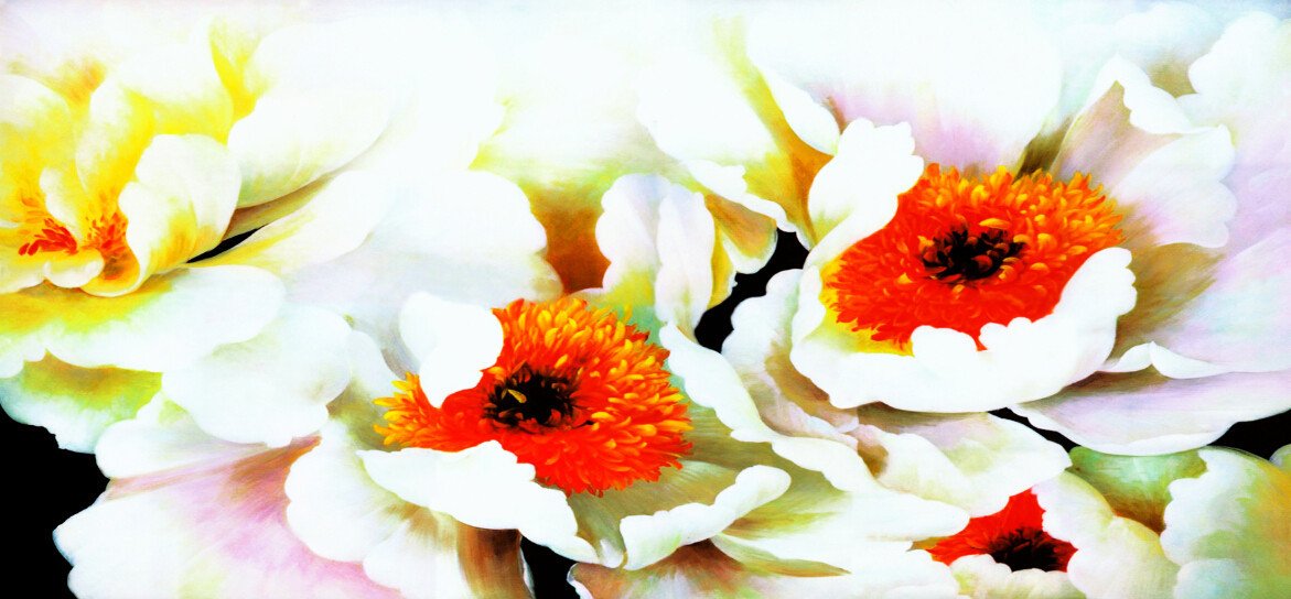 Orange Blossoms 1 Wallpaper AJ Wallpaper 