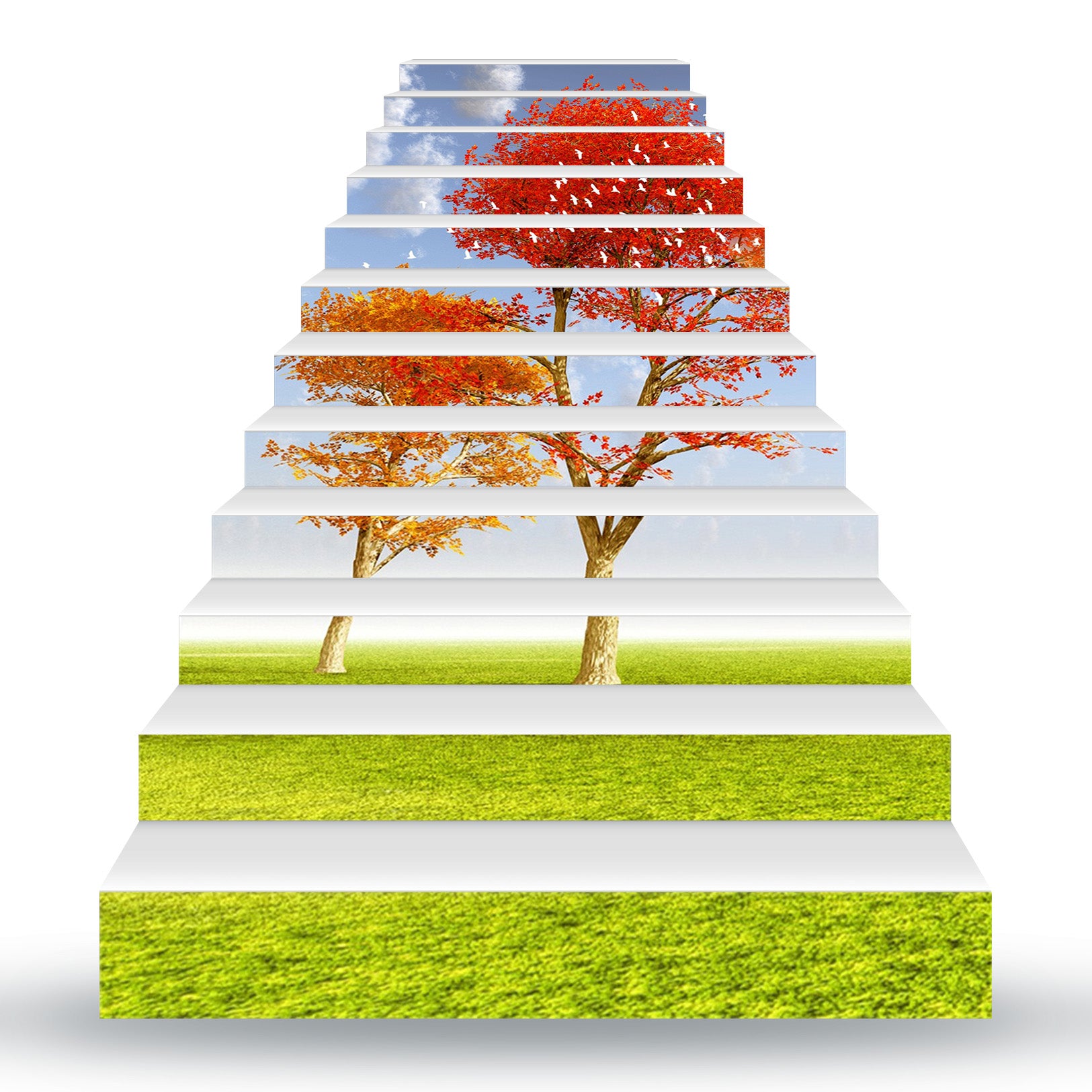 3D Fall And Summer 151 Stair Risers