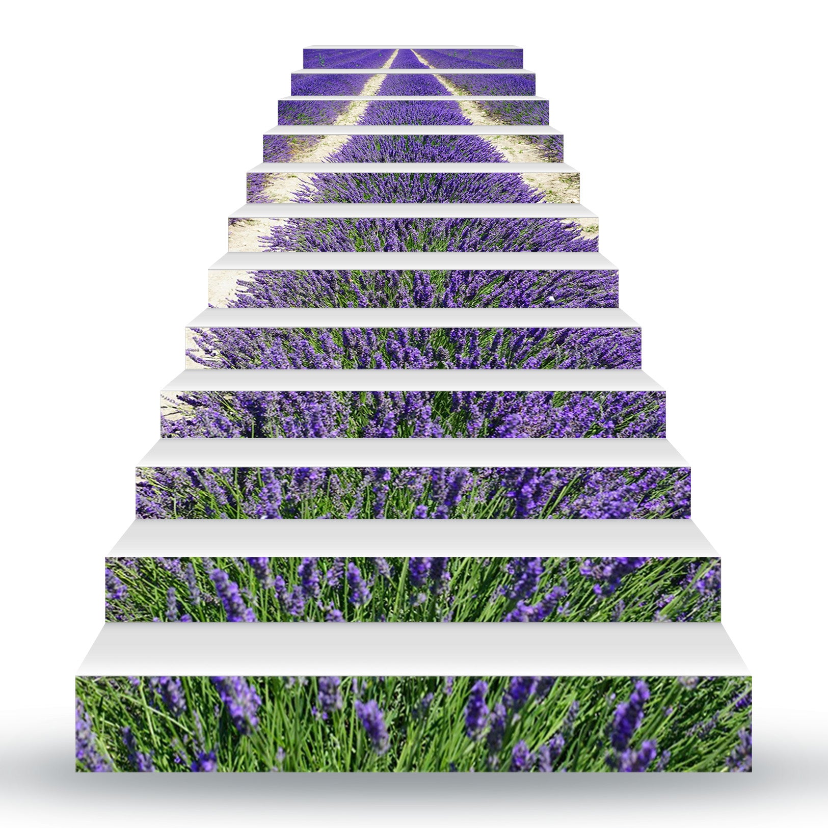 3D Romantic Lavenders 105 Stair Risers