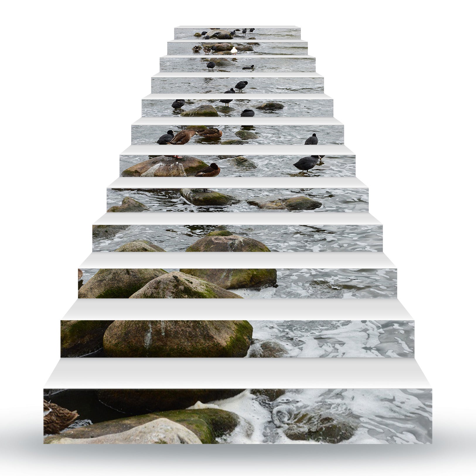 3D Birds On The Rocks 085 Stair Risers