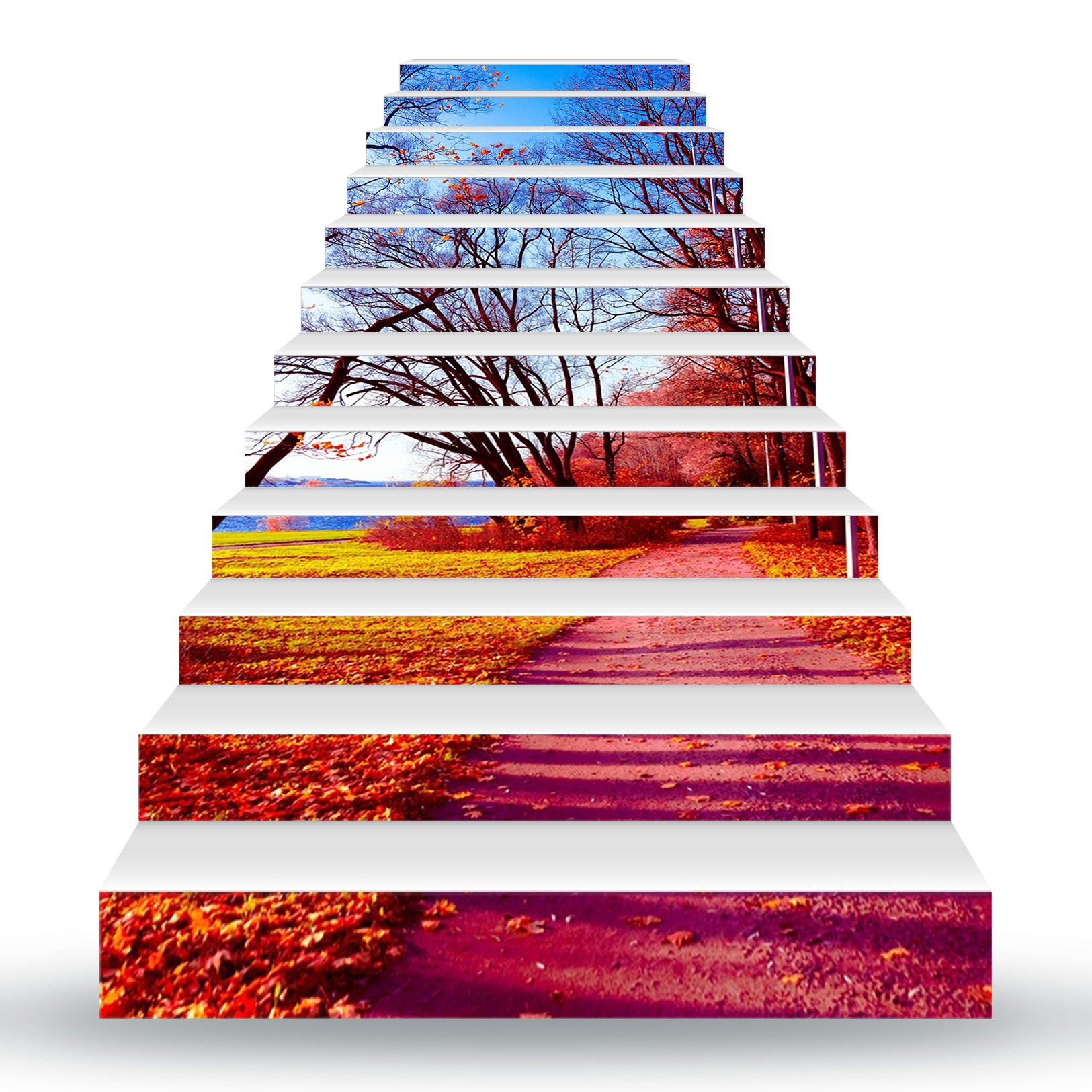 3D The Ideal World Of Color 161 Stair Risers