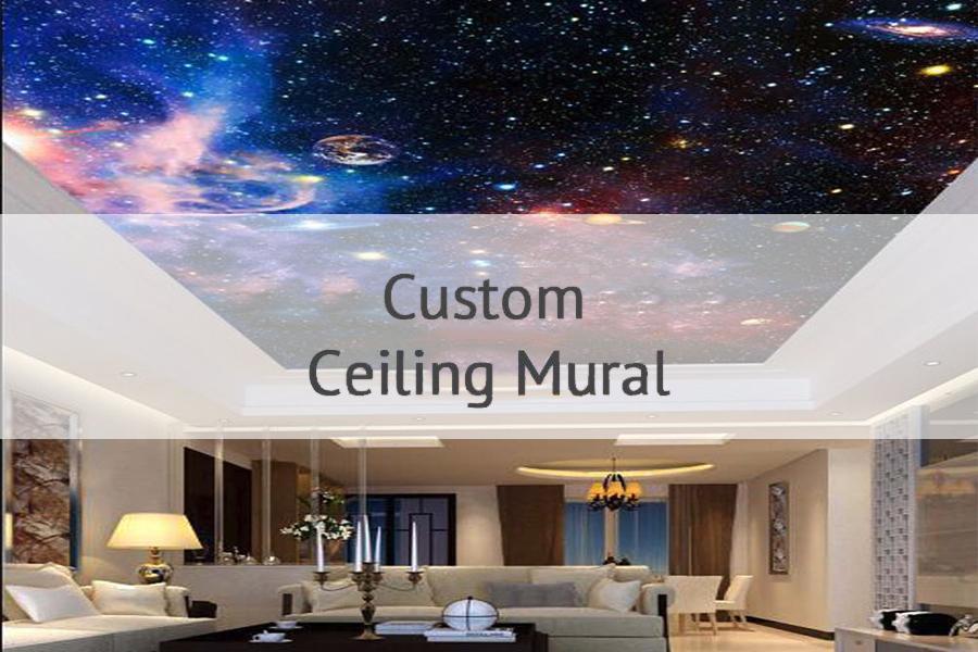 Custom Ceiling Mural Wallpaper AJ Wallpaper 