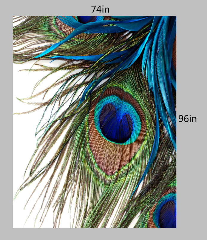 Custom size in 74'' W x 96'' H in canvas from ETSY (Aj)