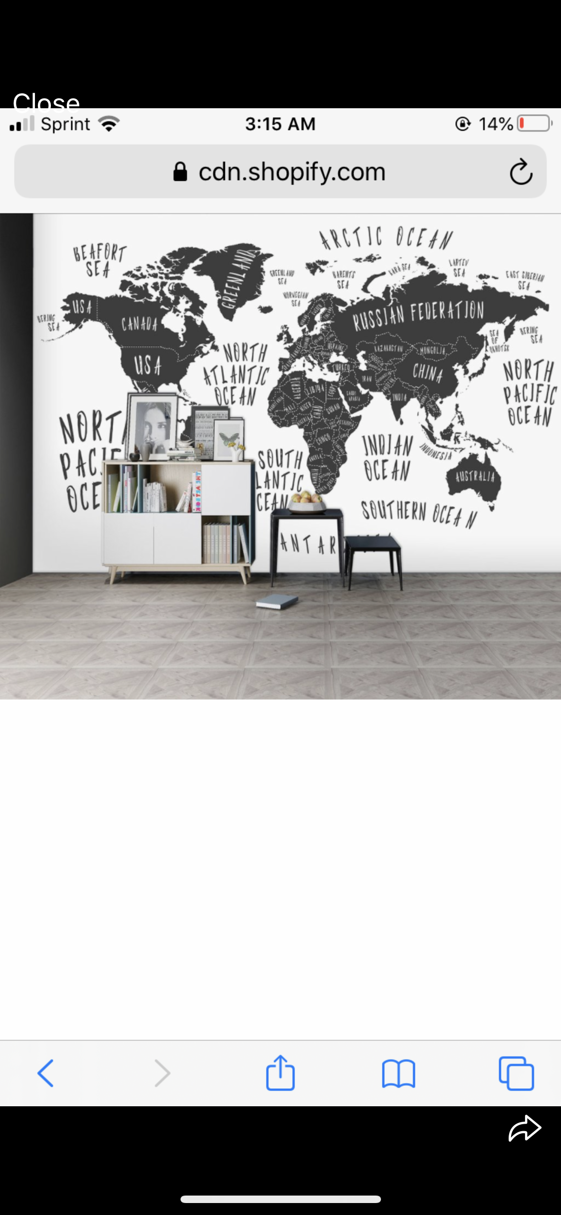 Custom image in vinyl 9ft high and 13ft wide