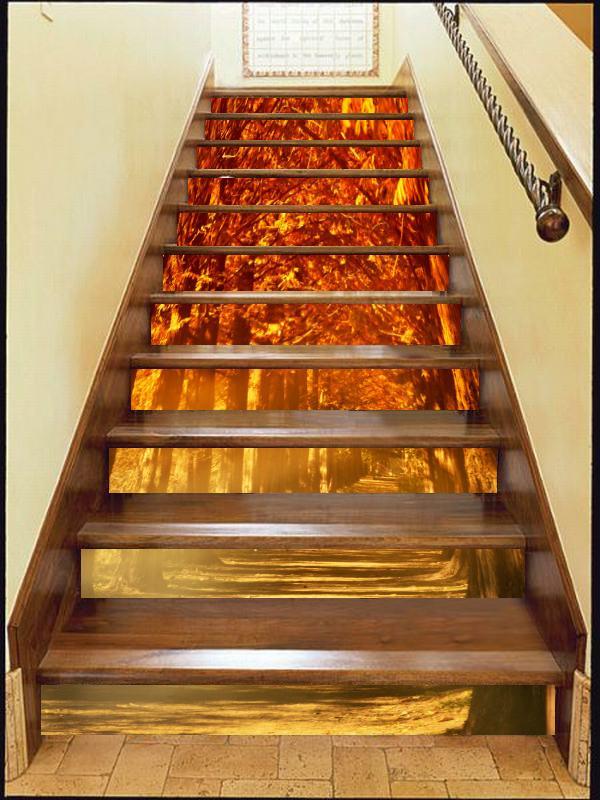 3D Maples 1203 Stair Risers Wallpaper AJ Wallpaper 