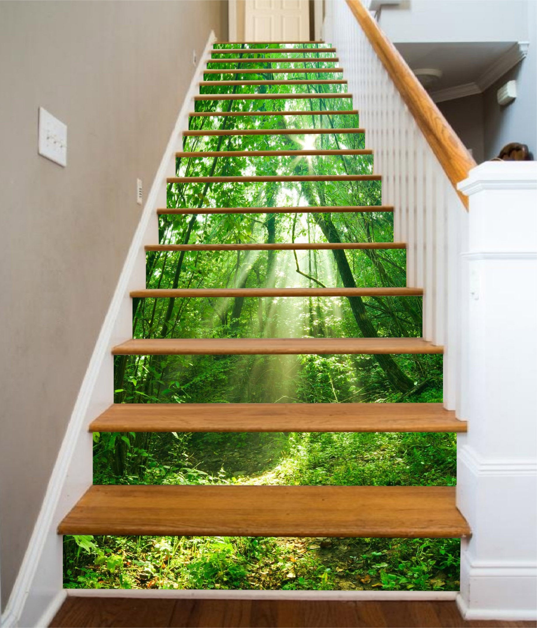 3D Green Forest Sunbeams 1174 Stair Risers Wallpaper AJ Wallpaper 
