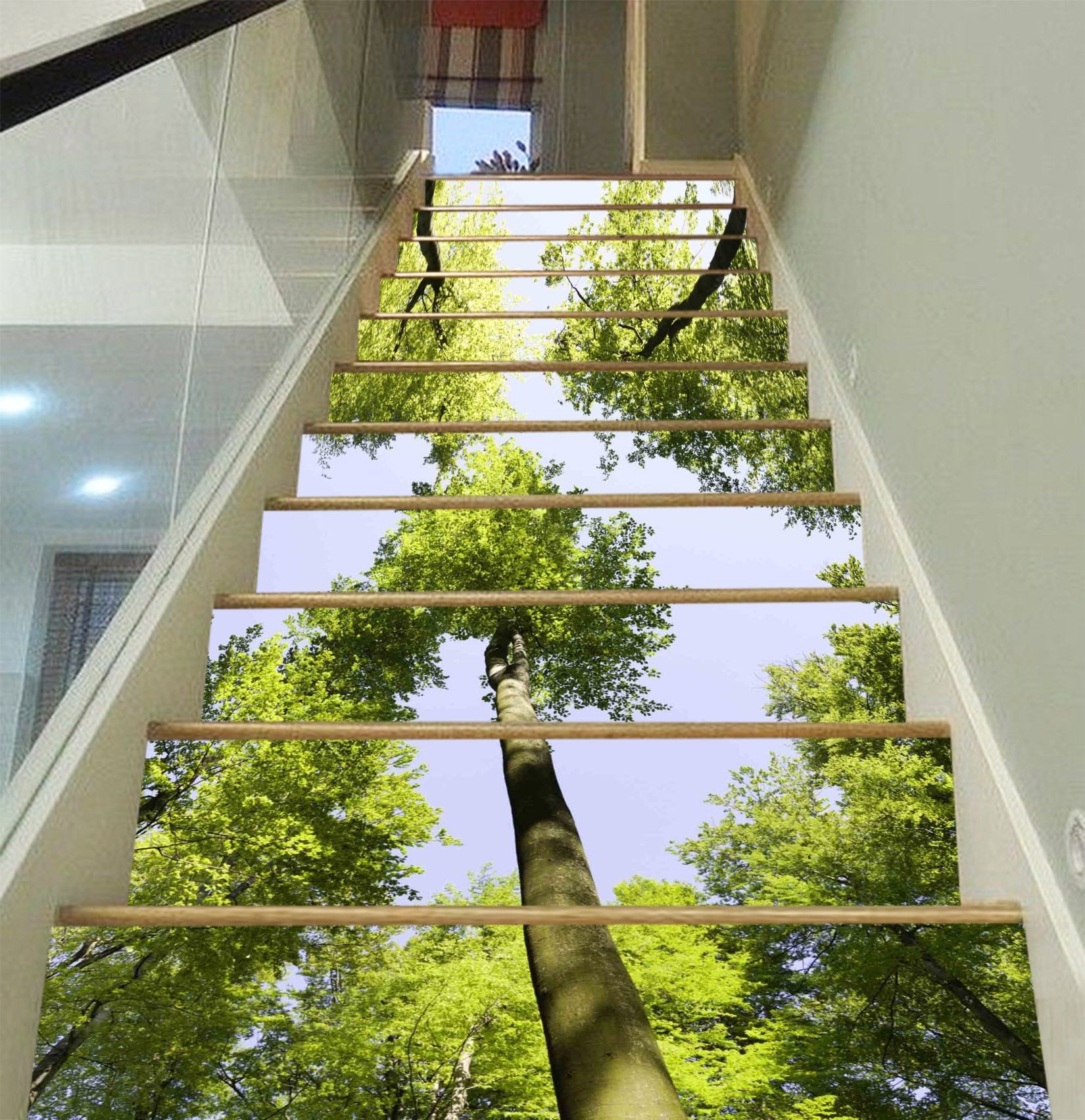 3D Pretty Tall Trees 1207 Stair Risers Wallpaper AJ Wallpaper 