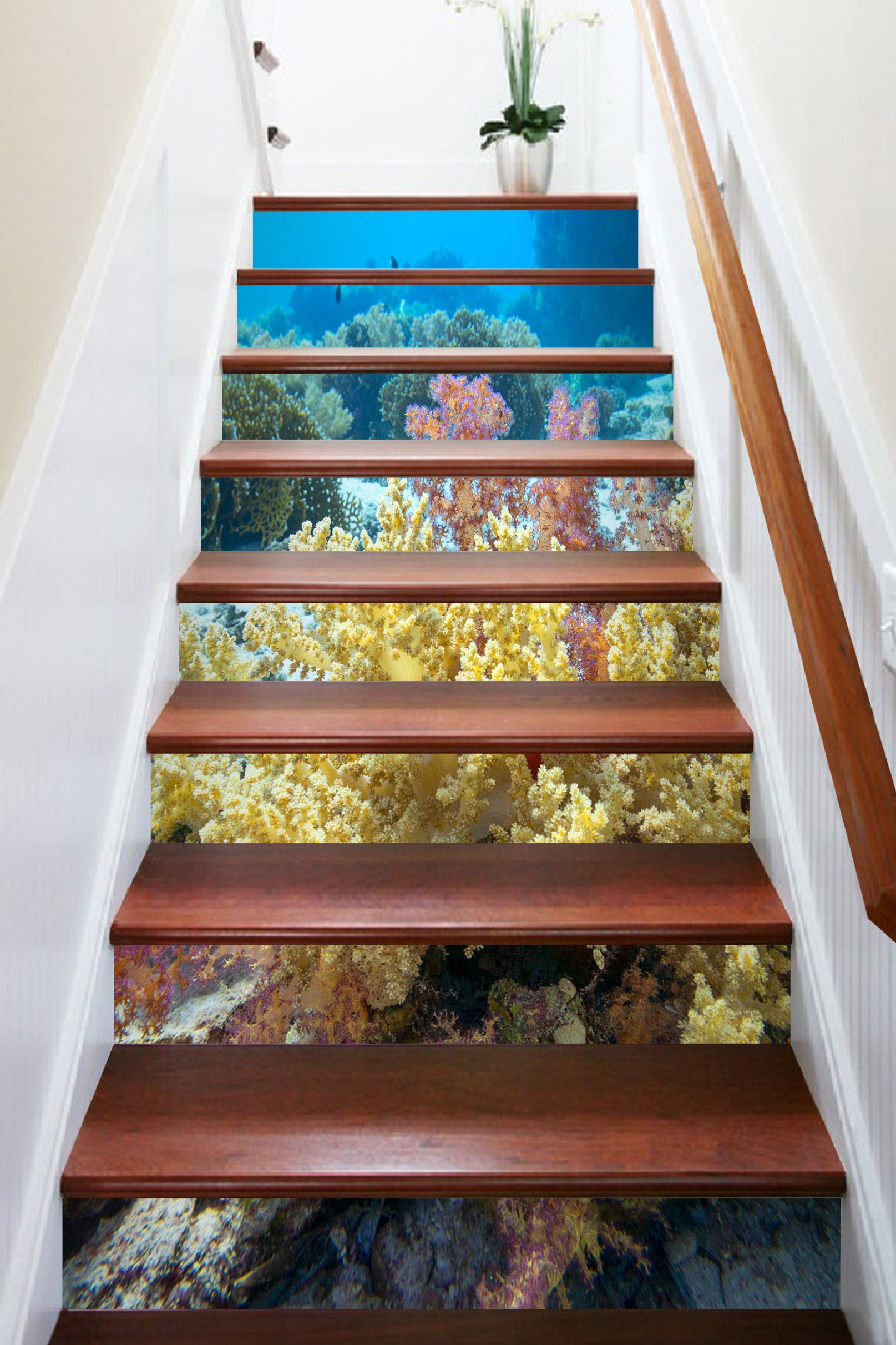 3D Gorgeous Seaweed 378 Stair Risers