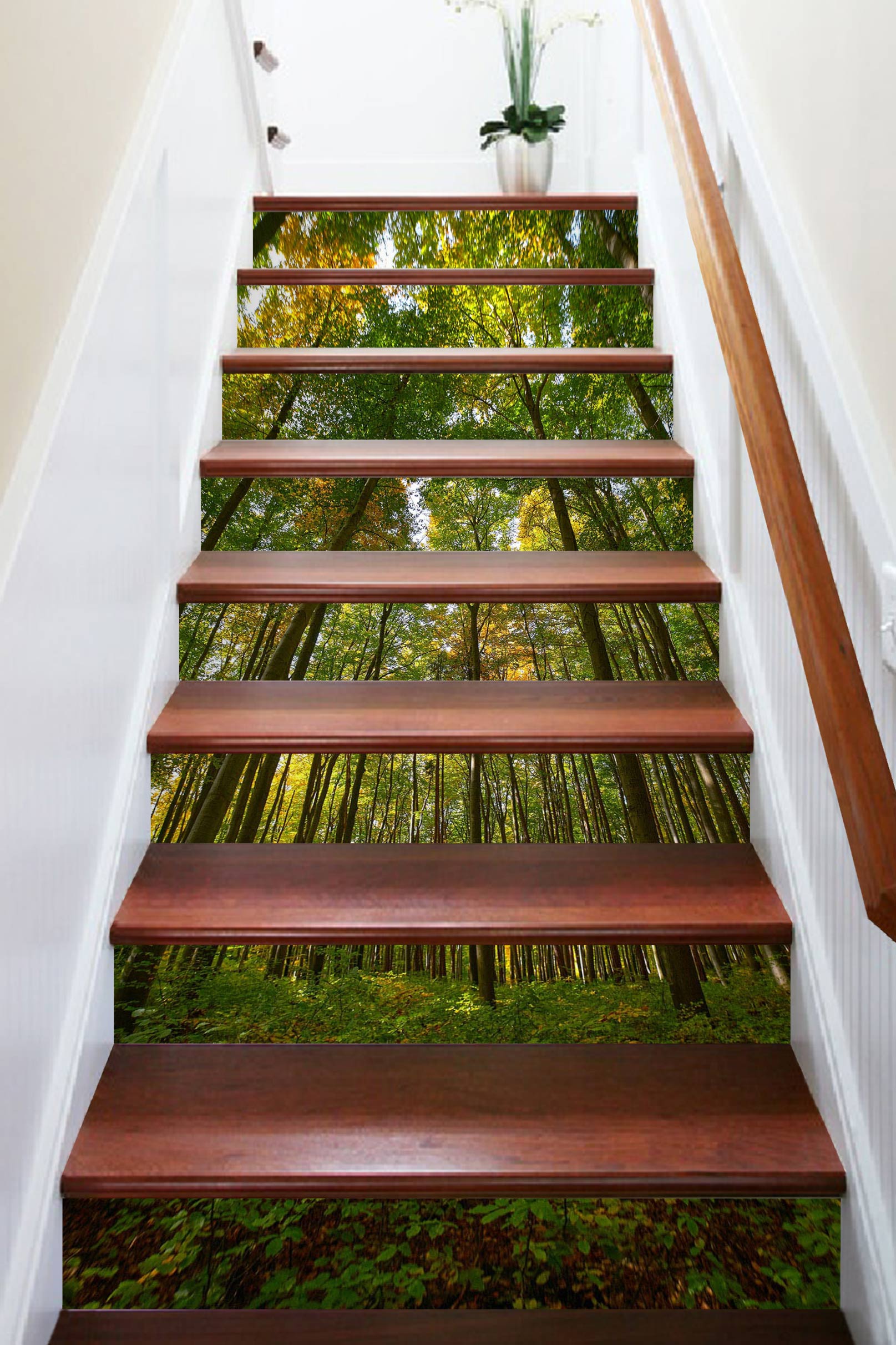3D Big Trees 181 Stair Risers
