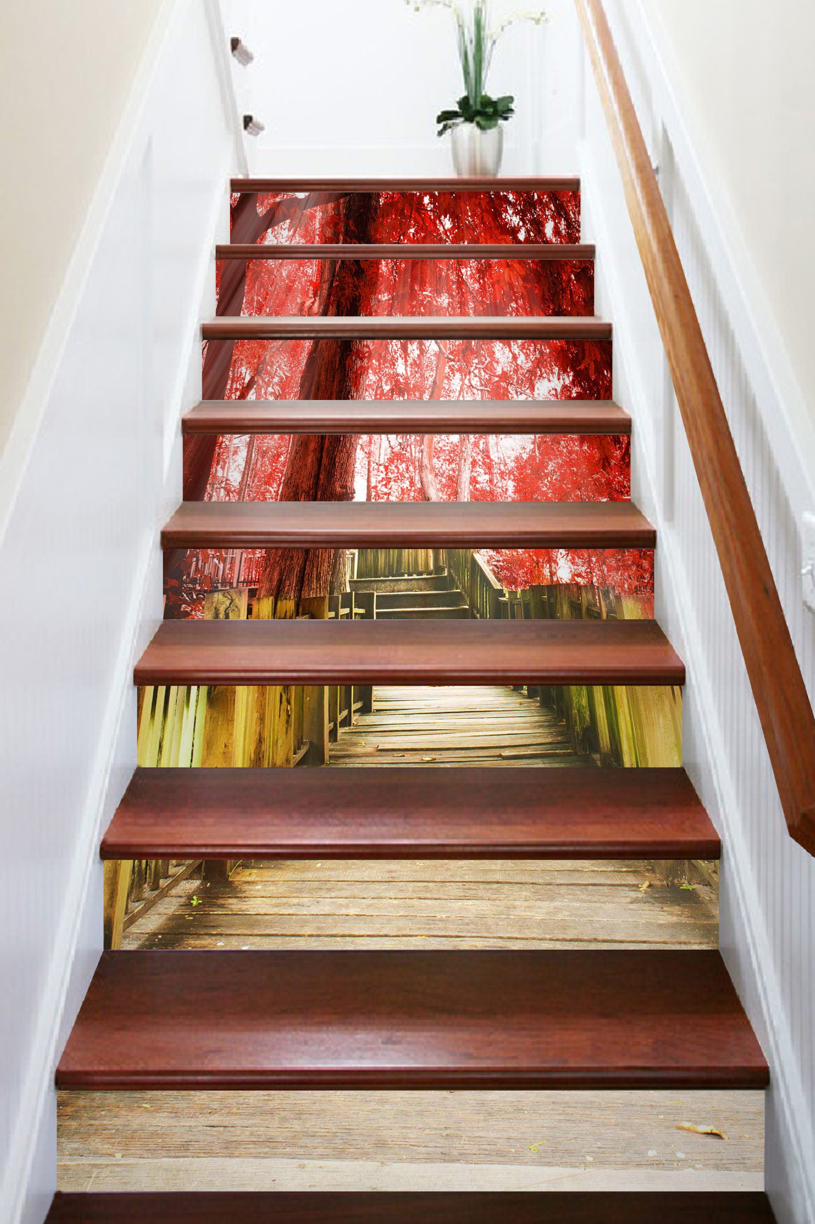 3D Love Under The Redwoods 419 Stair Risers