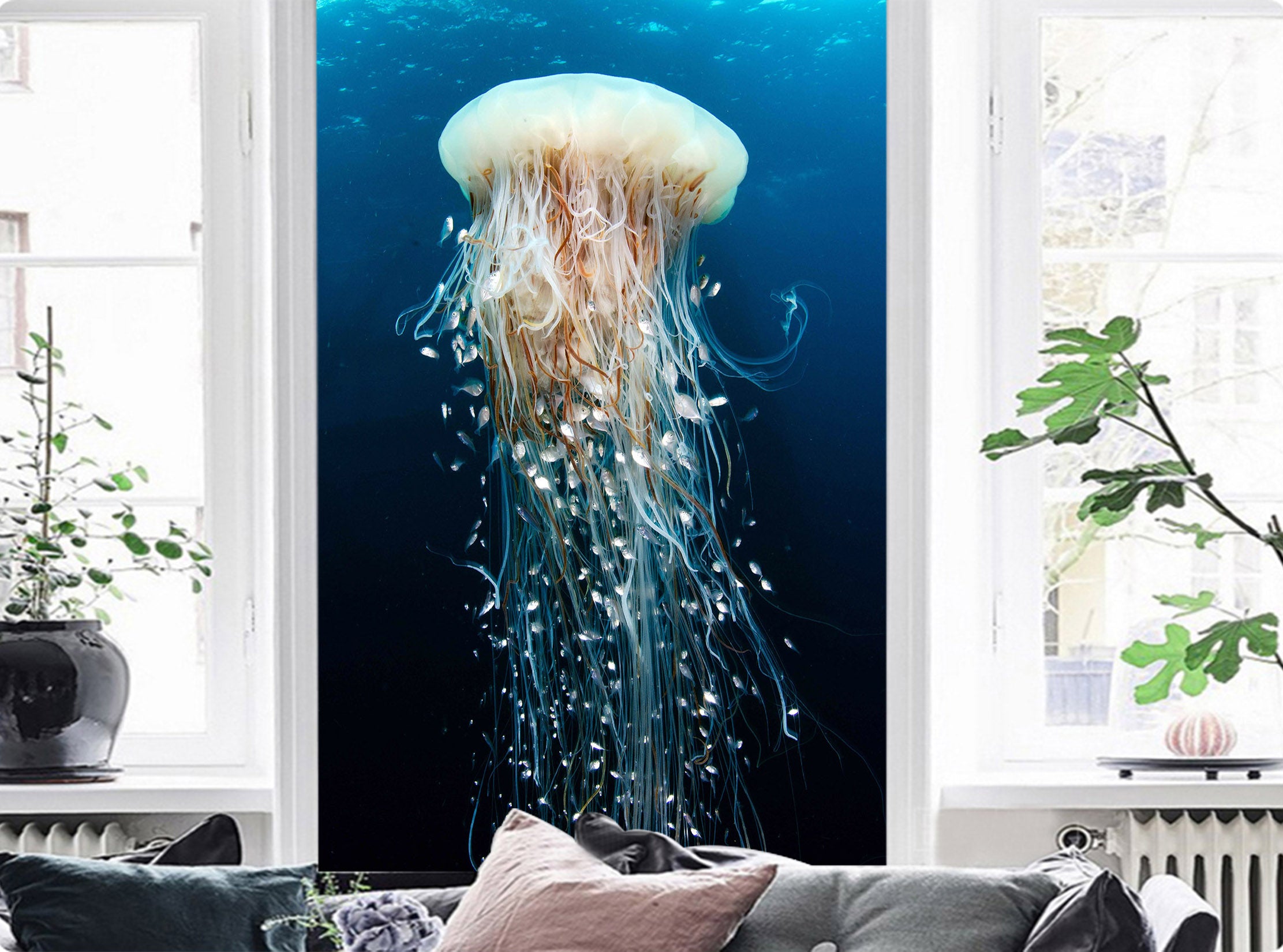 3D White Jellyfish 117 Wall Murals
