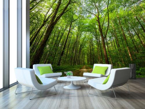 3D jungle forest Greening Wall Paper 370cm wide and 262cm high IN VINYL AJ Wallpaper 