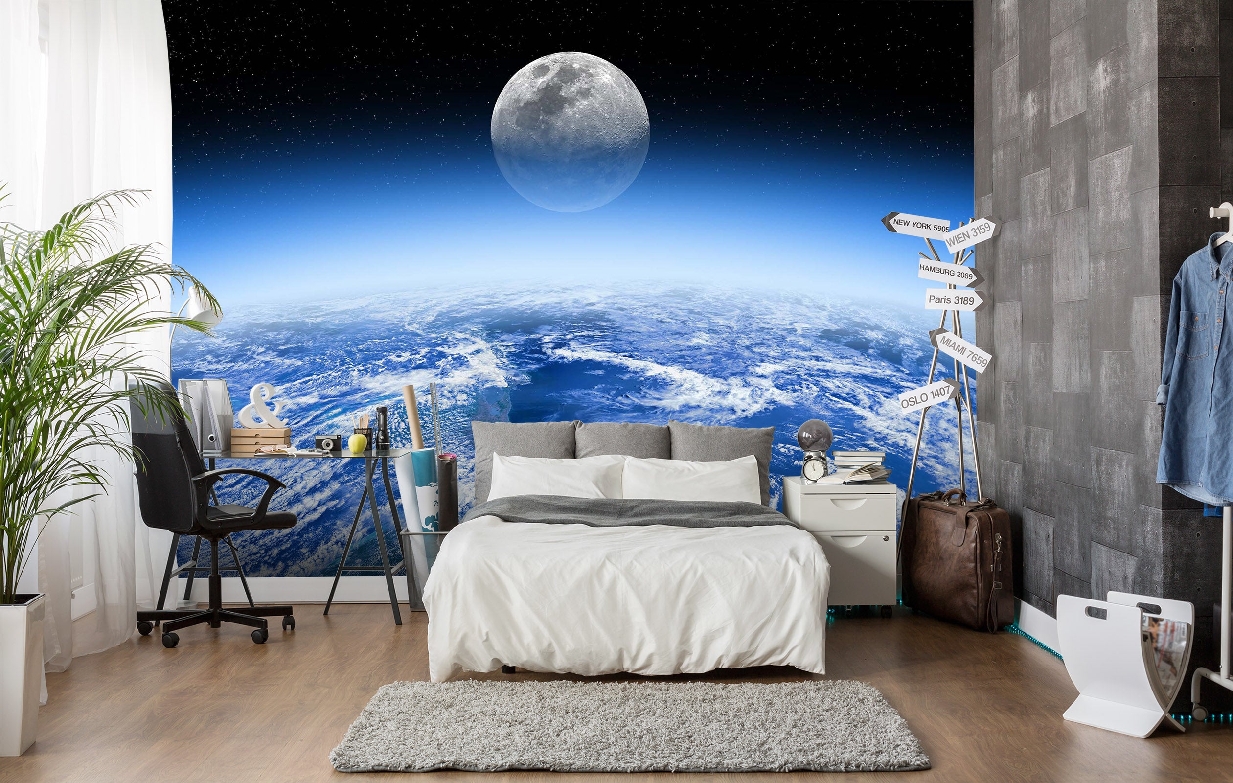 3D Planet Moon 1696 Wall Murals