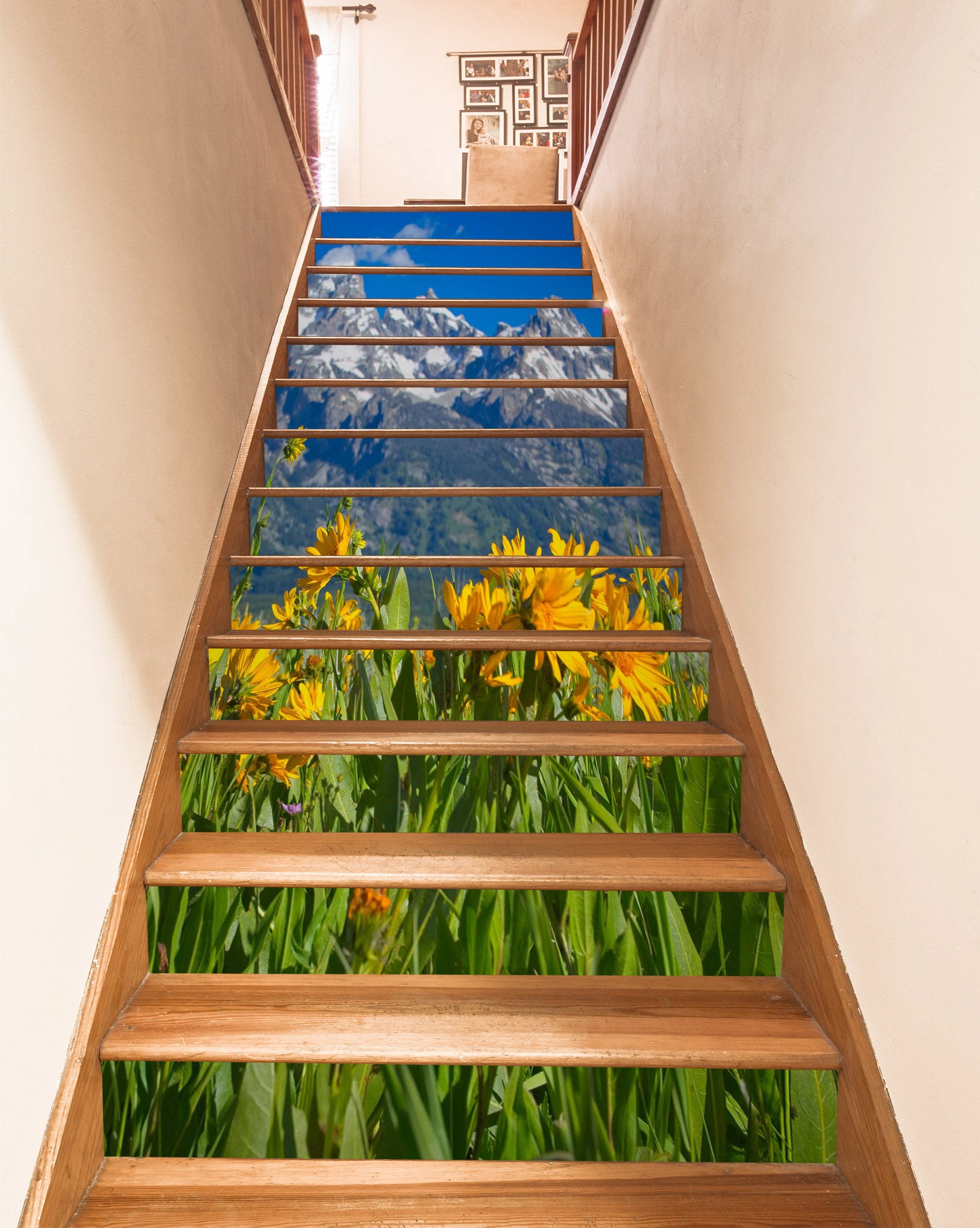 3D Snow Mountain Flower Bush 98226 Kathy Barefield Stair Risers