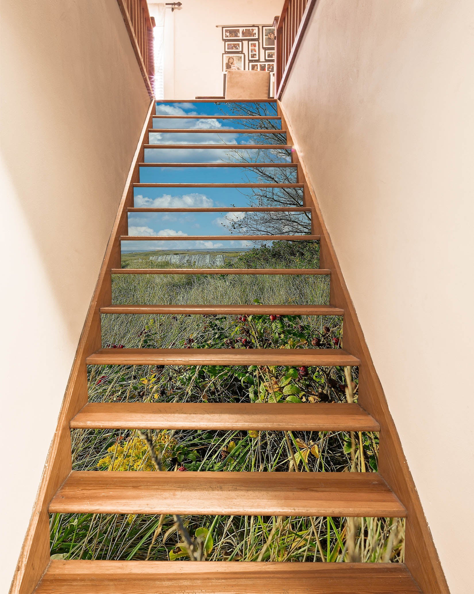3D Grass 94106 Kathy Barefield Stair Risers