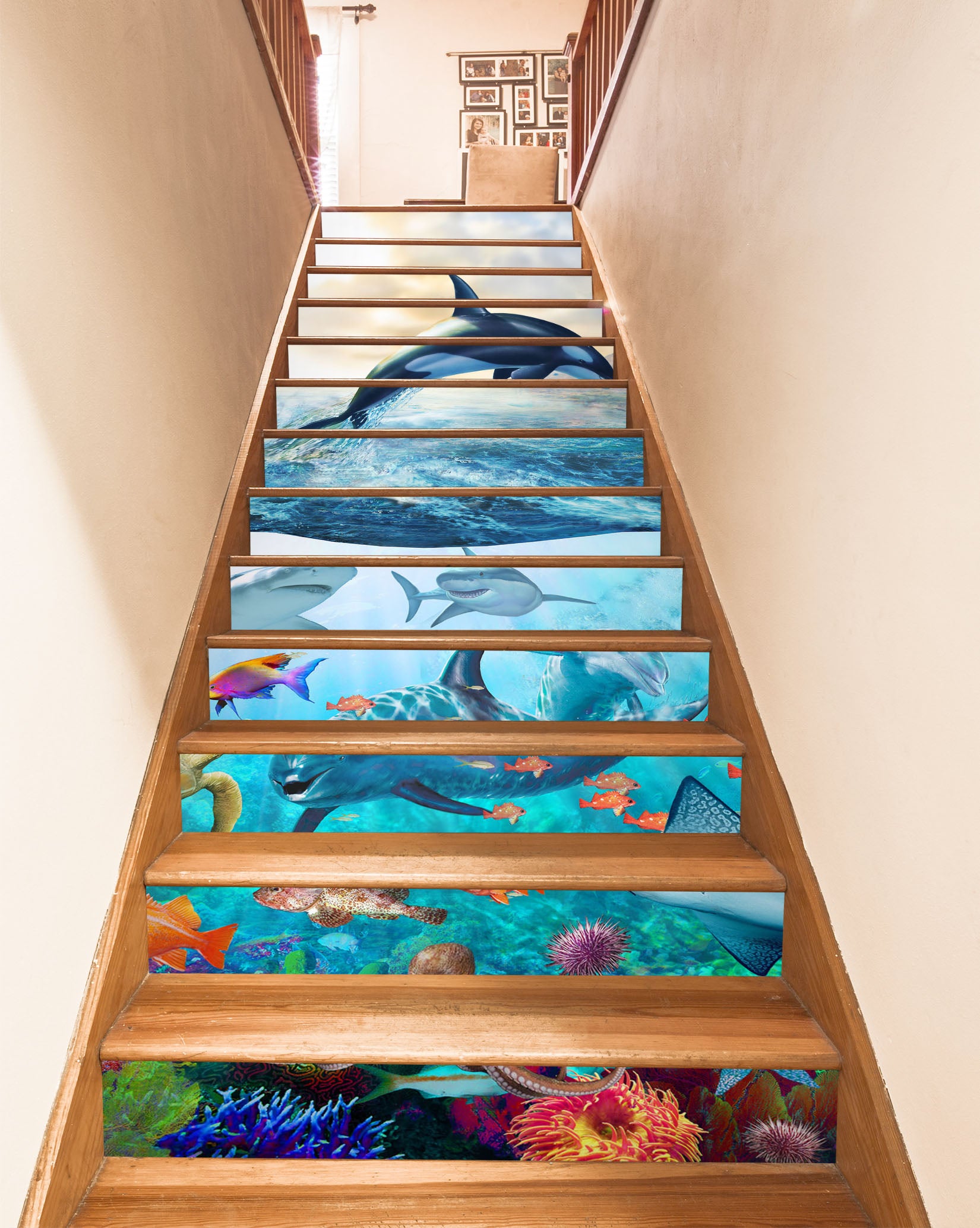 3D Dolphin Whale Ocean 96180 Adrian Chesterman Stair Risers