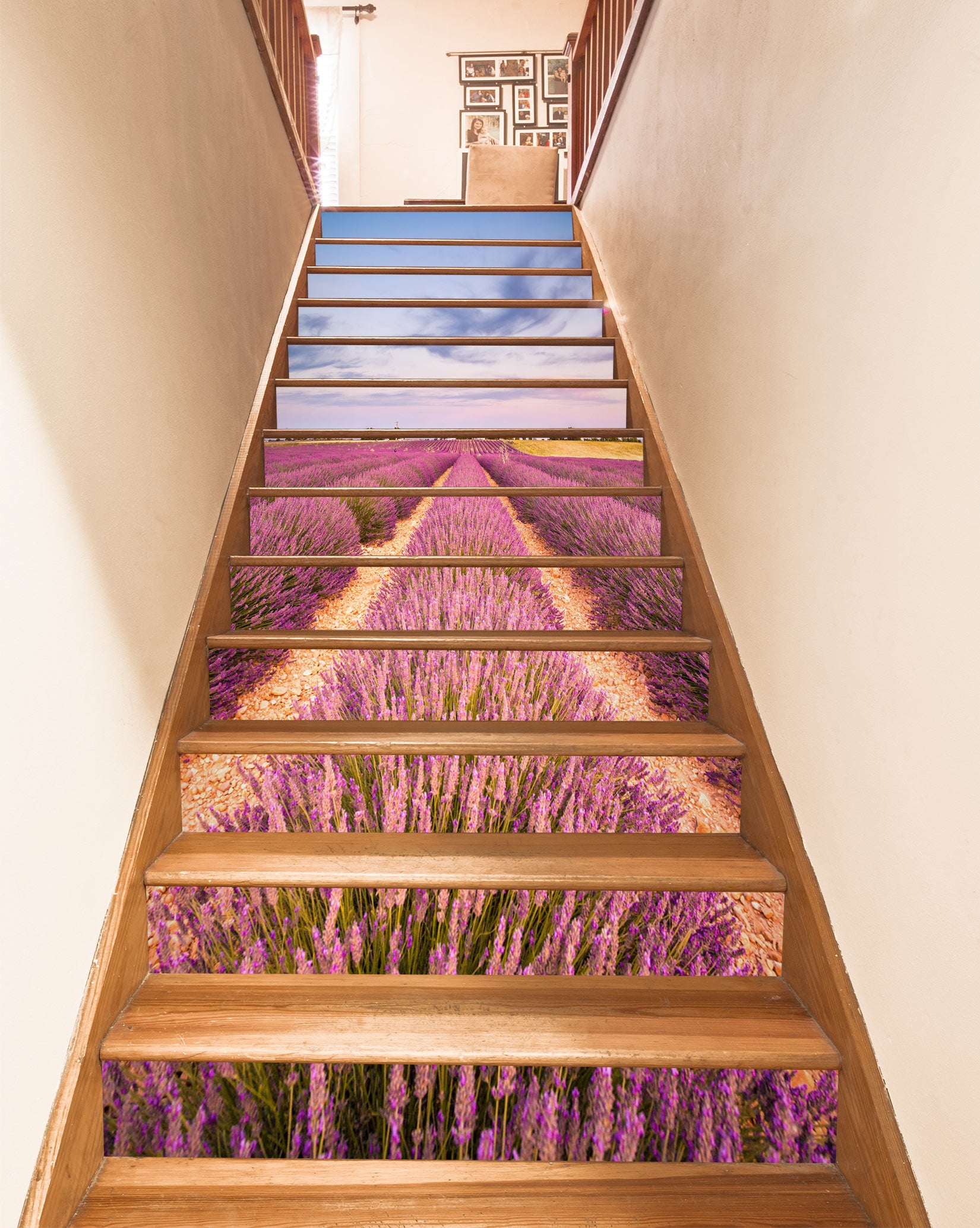 3D Dreamy Lavender Field 468 Stair Risers