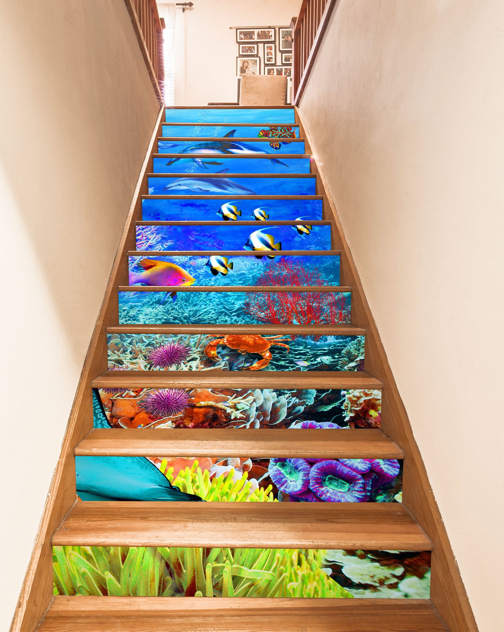 3D Colorful Coral Ocean 96190 Adrian Chesterman Stair Risers