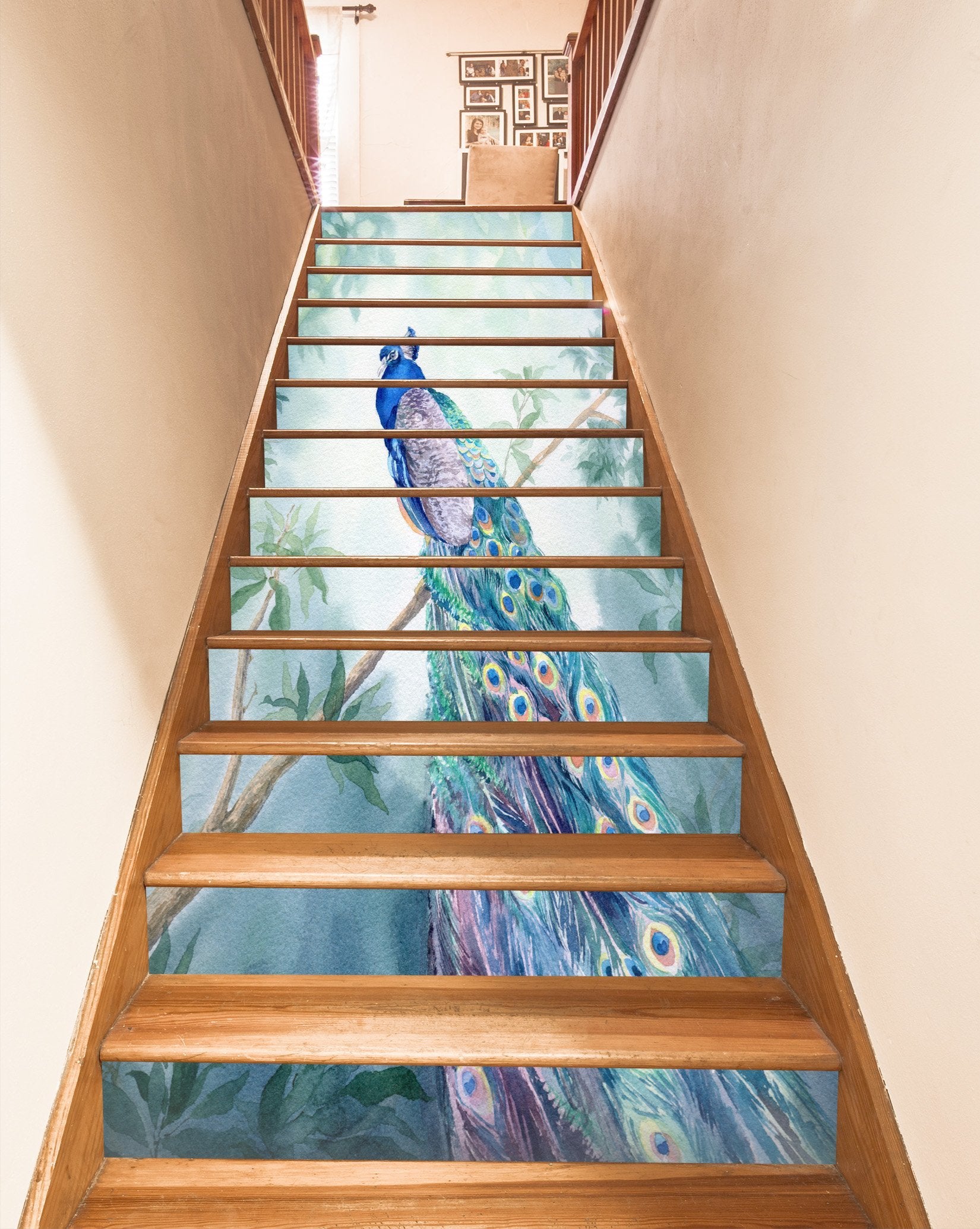 3D Peacock 6972 Stair Risers Wallpaper AJ Wallpaper 
