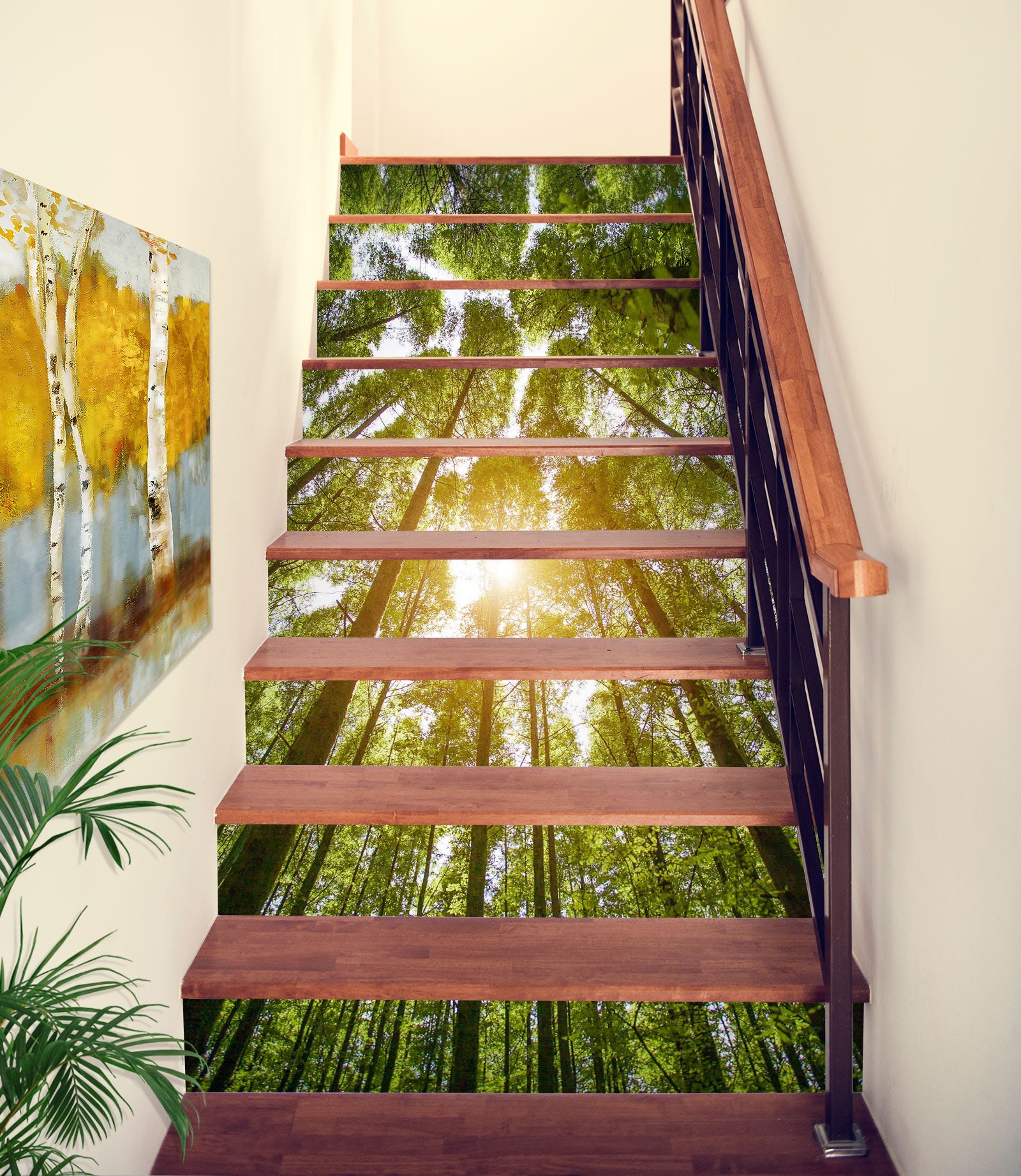 3D Sunlight Between Trees 229 Stair Risers