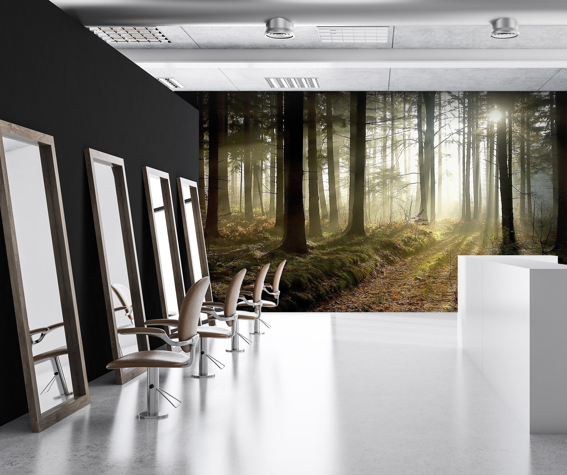 3D Woods Sunshine 376 Wall Murals