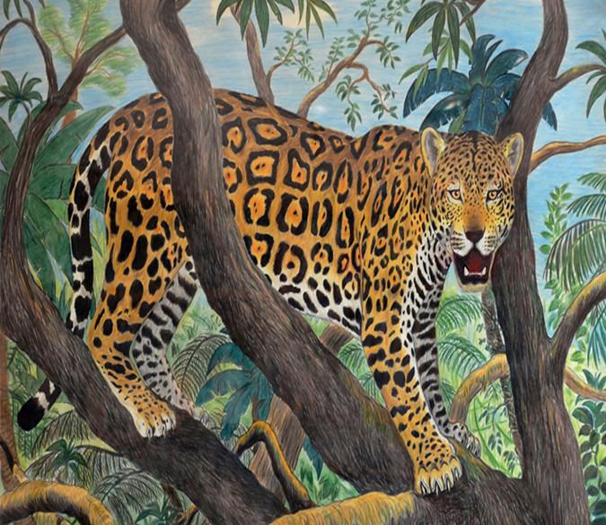 3D Cheetah Forest 77 Wallpaper AJ Wallpaper 