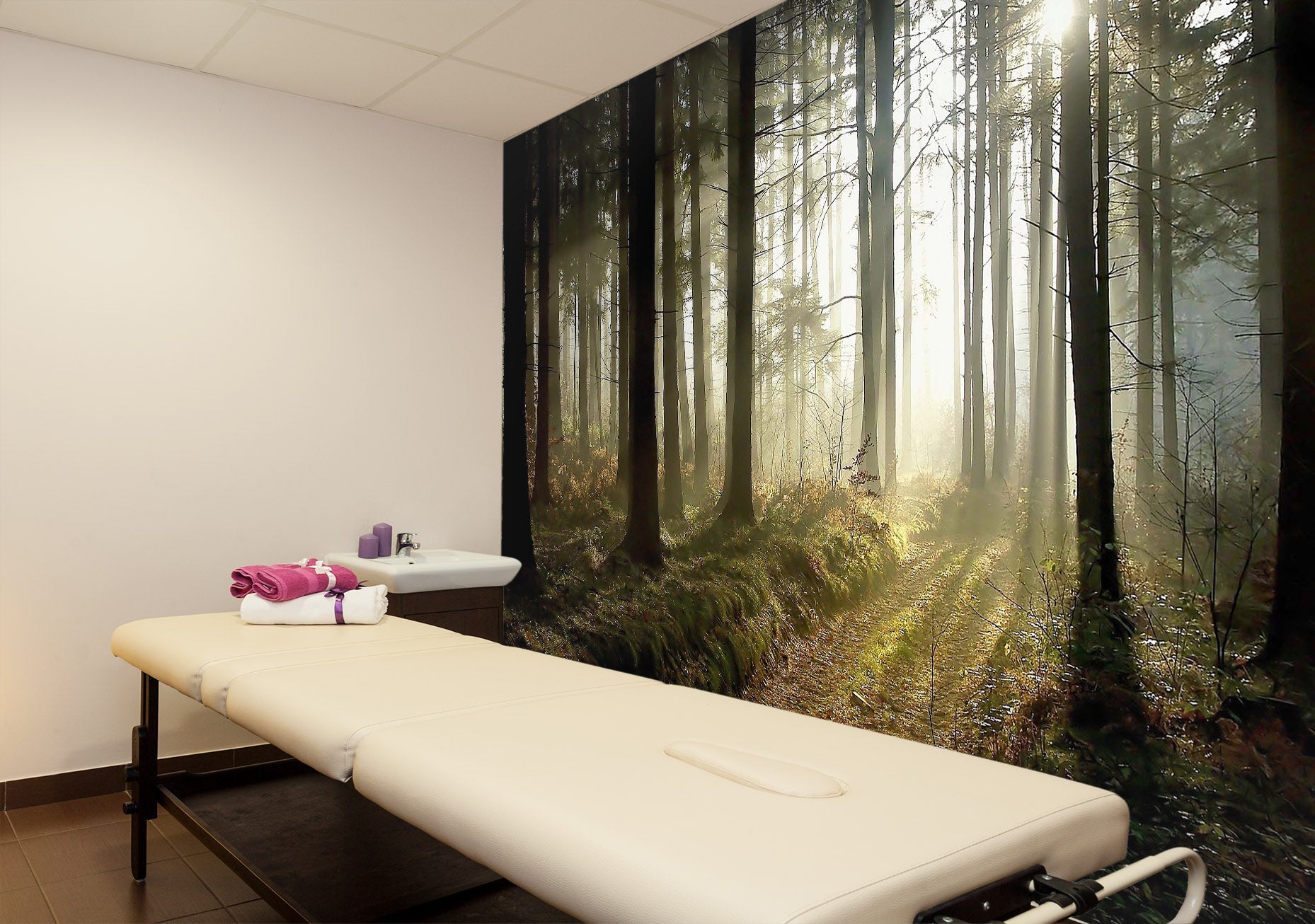 3D Woods Sunshine 376 Wall Murals