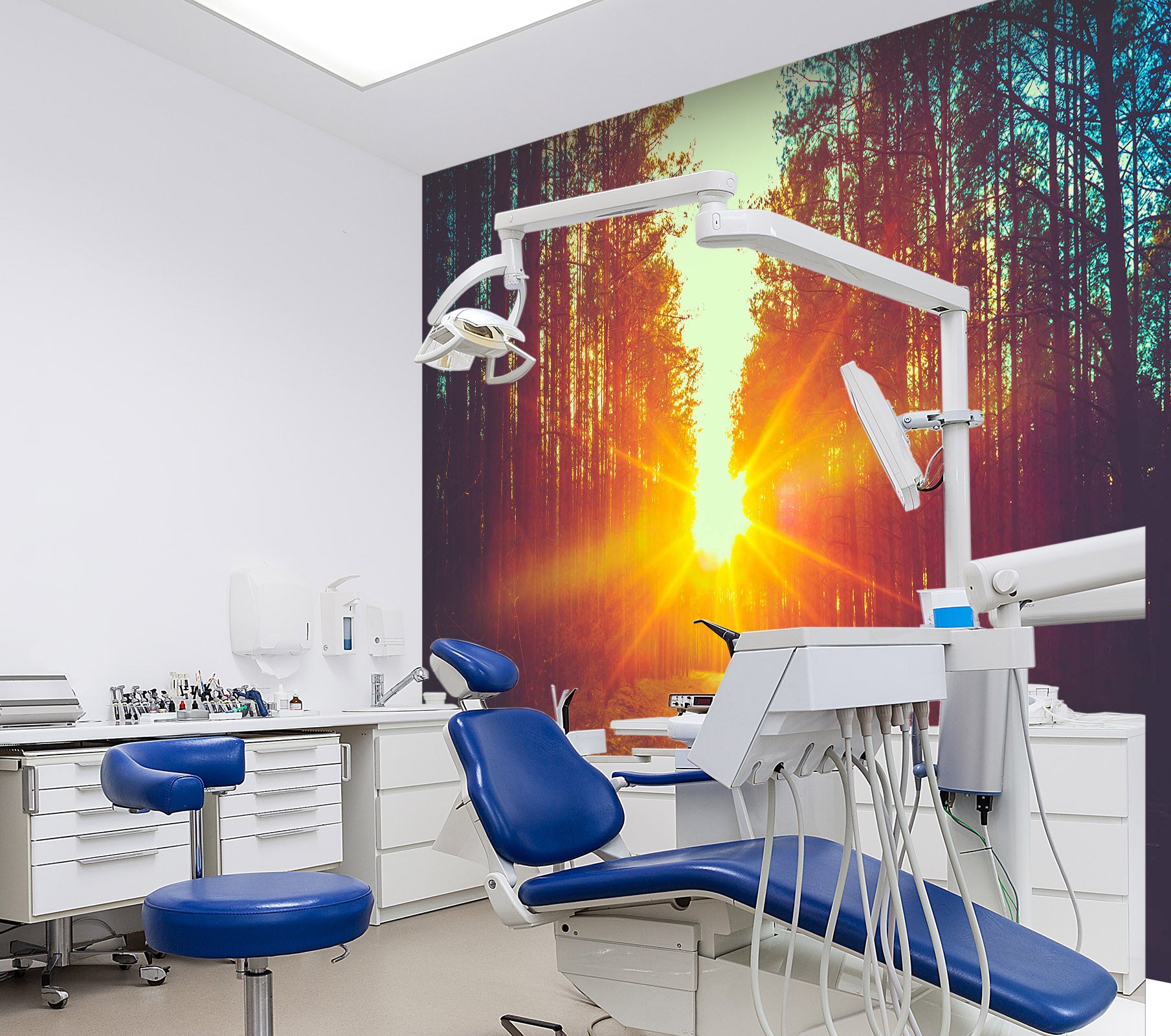 3D Sunset Forest 051 Wall Murals