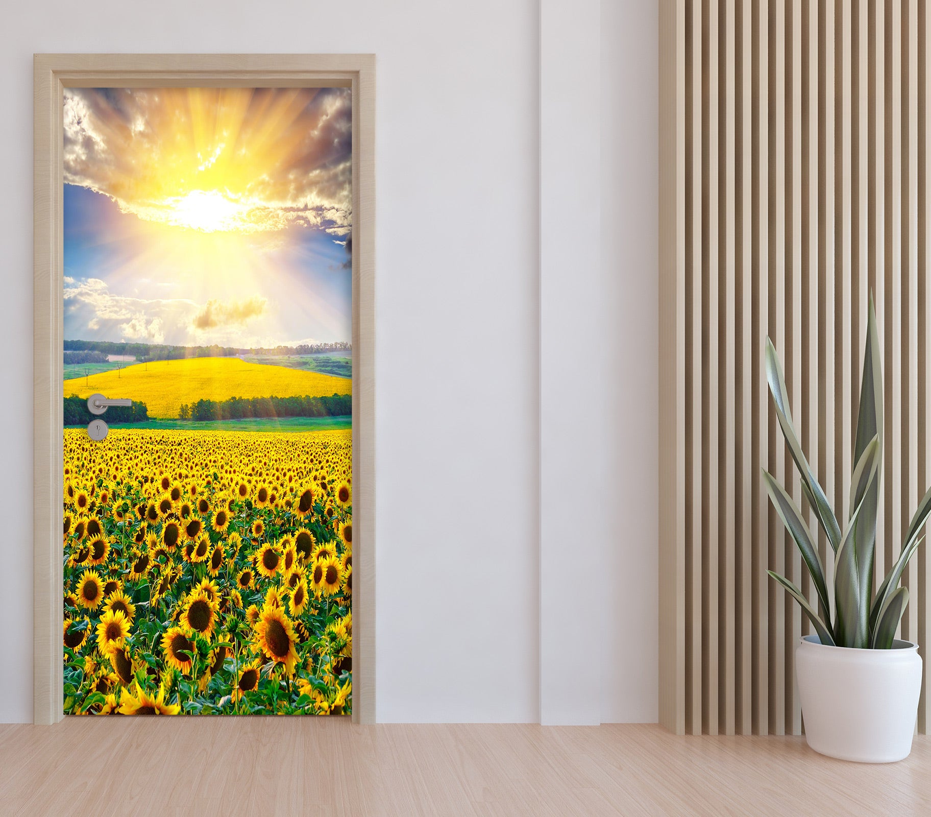 3D Sun Sunflower 084 Door Mural