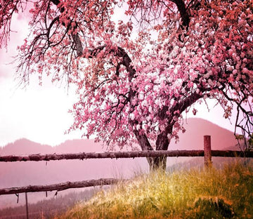 3D Pink Cherry Tree Flower 24 Wallpaper AJ Wallpaper 