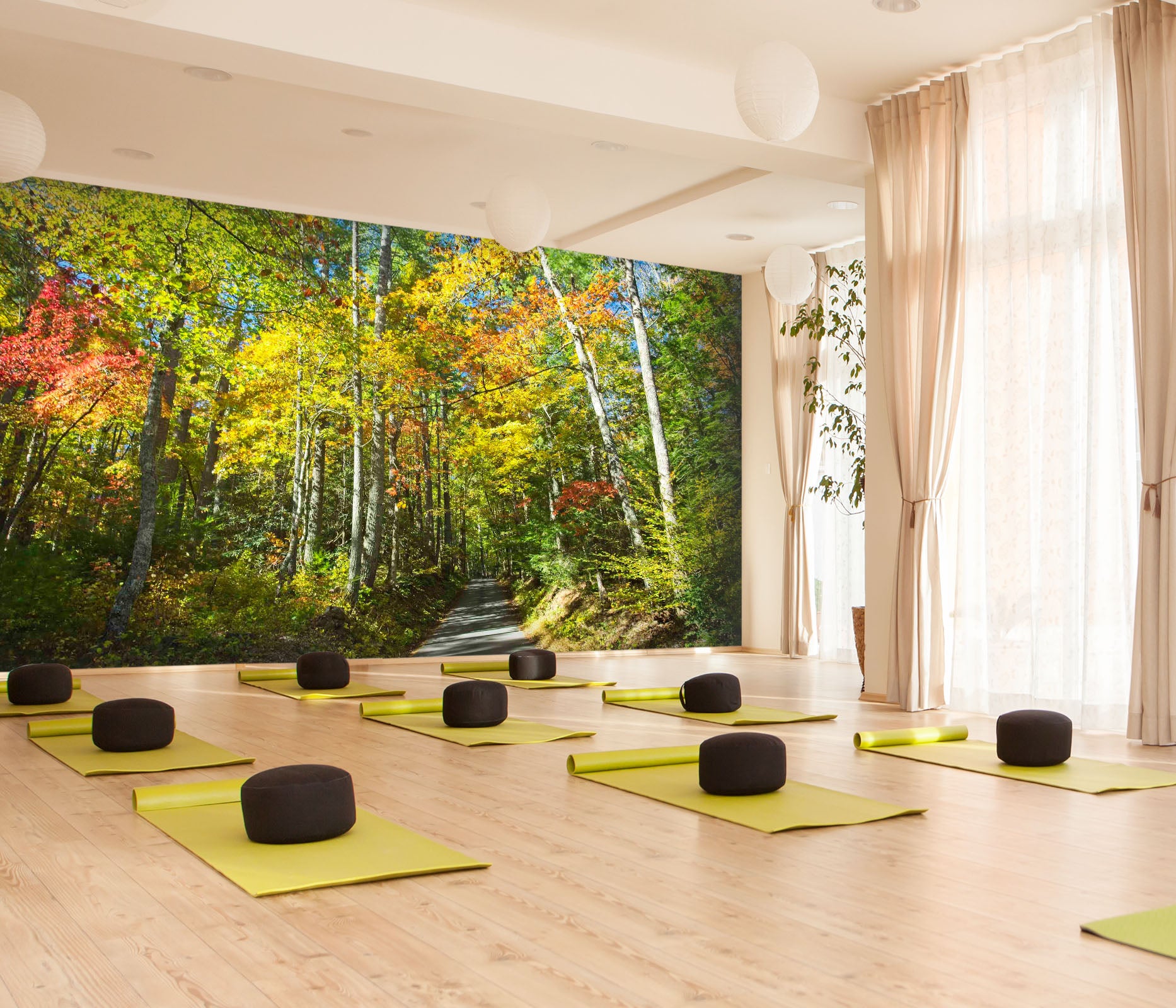 3D Sunny Woods 116 Kathy Barefield Wall Mural Wall Murals