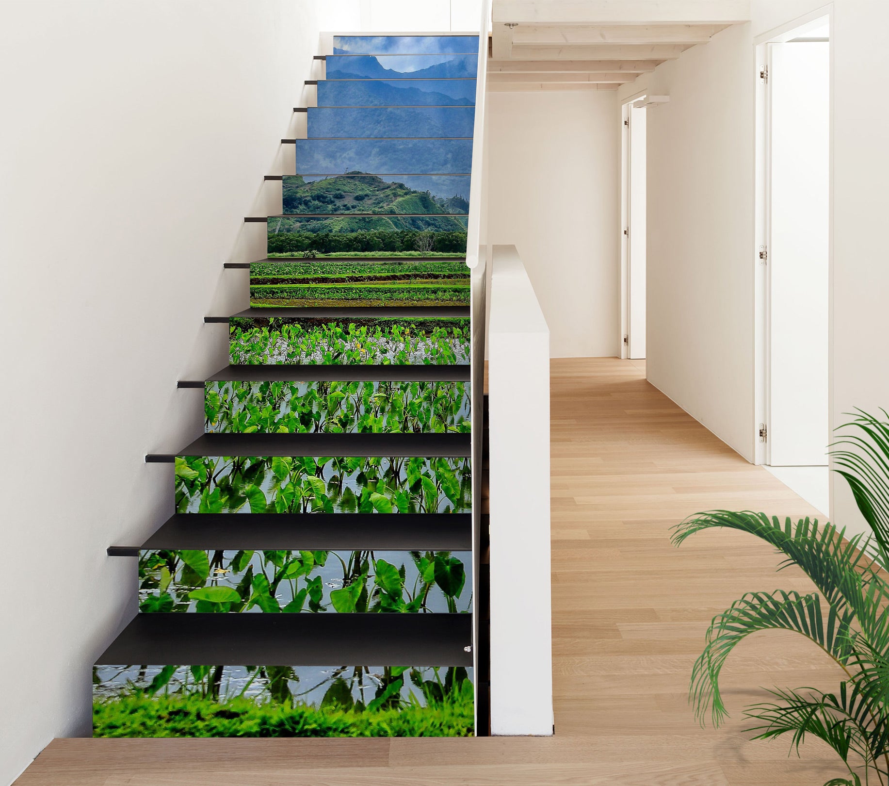 3D Field Plants 101102 Kathy Barefield Stair Risers