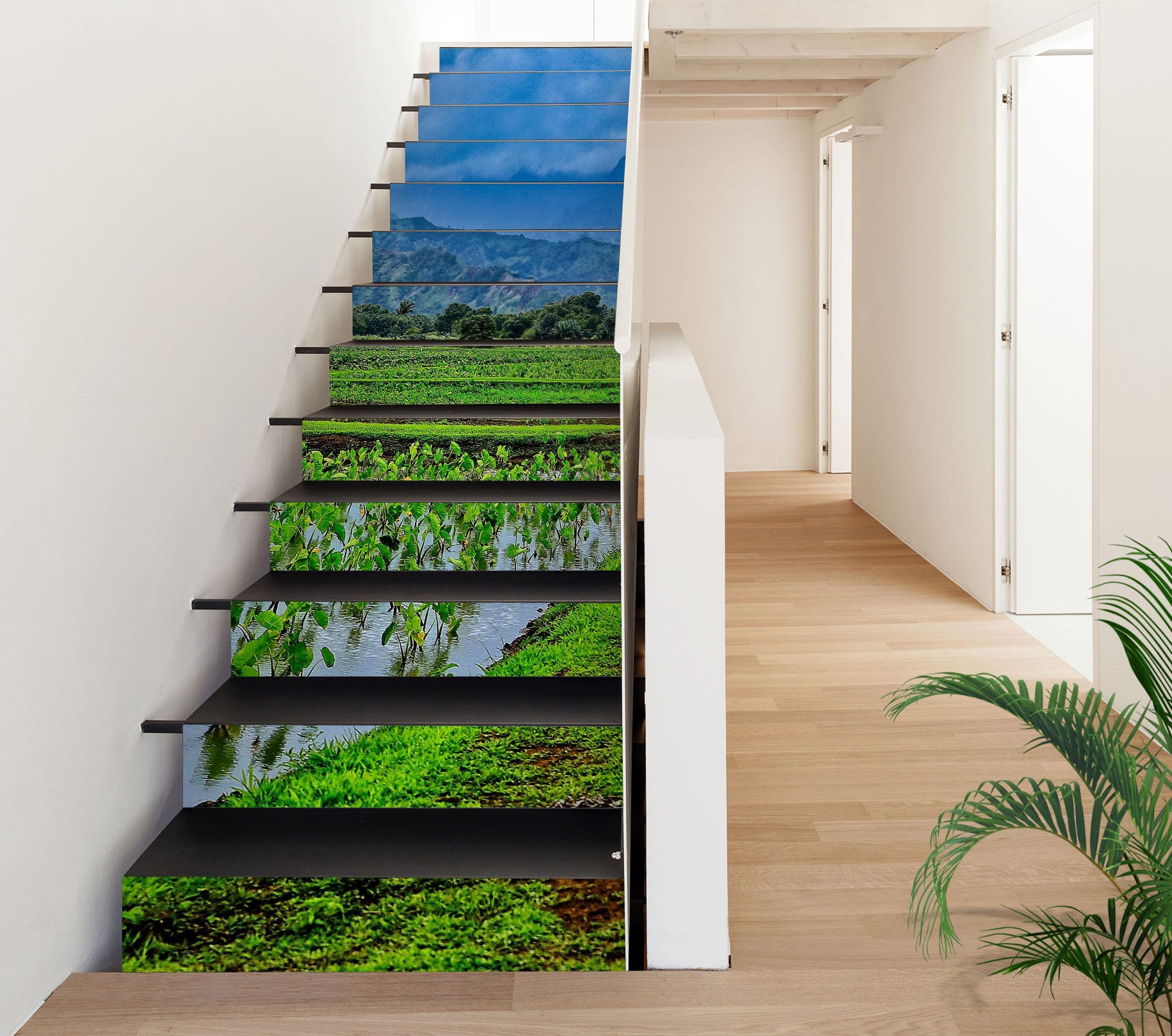 3D Field Green Plants 101105 Kathy Barefield Stair Risers