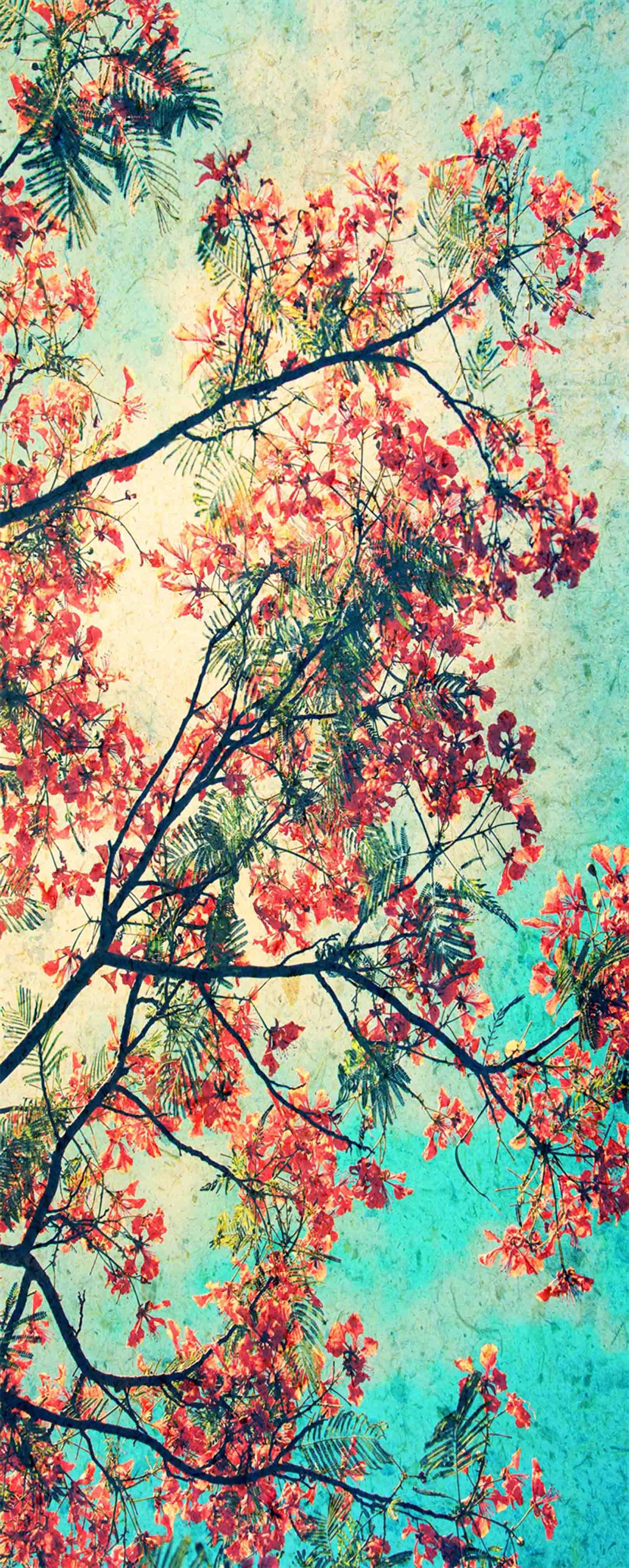 3D Pretty Flowering Tree 1020 Stair Risers Wallpaper AJ Wallpaper 