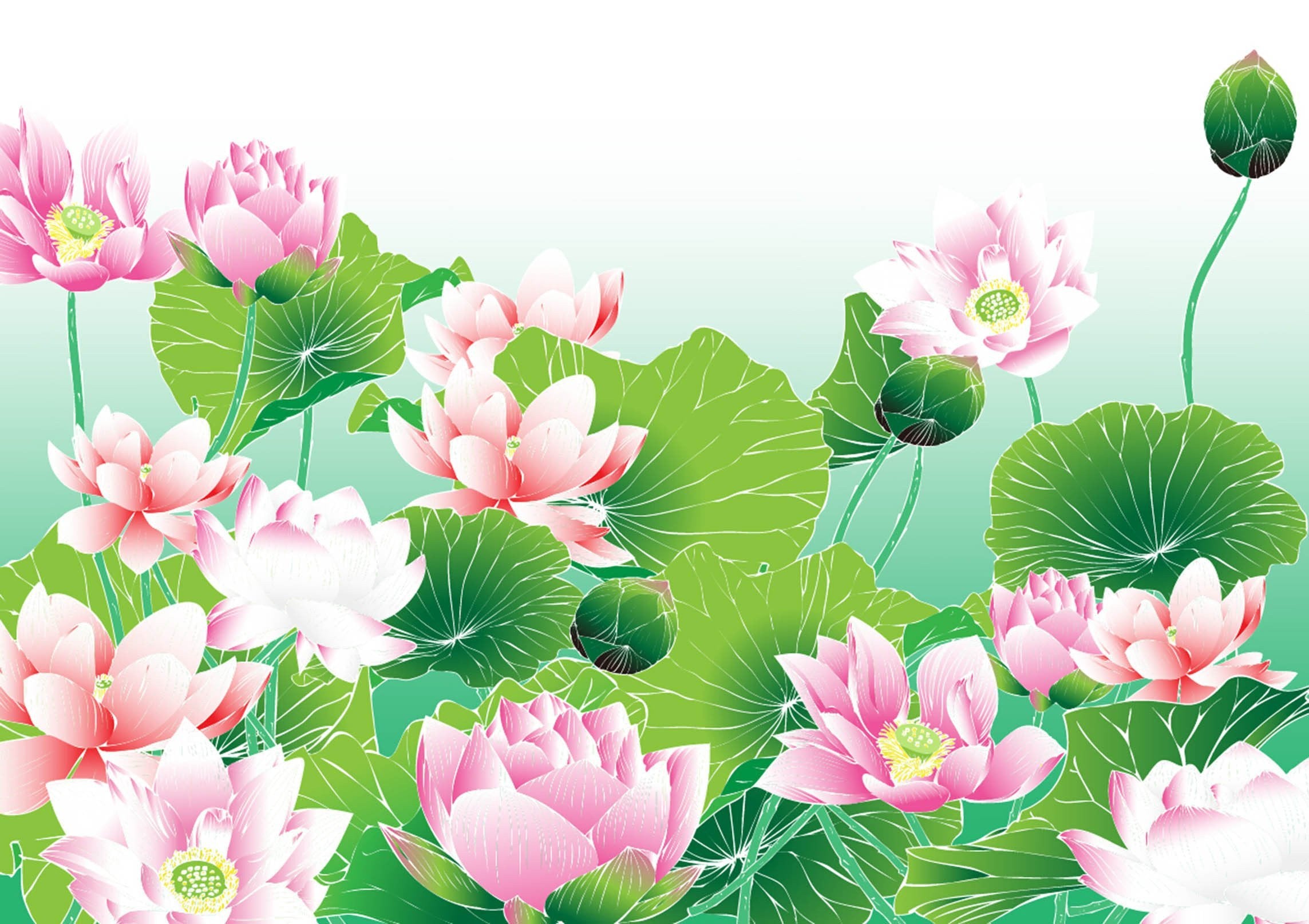 3D Lotus Flowers 637 Kitchen Mat Floor Mural Wallpaper AJ Wallpaper 
